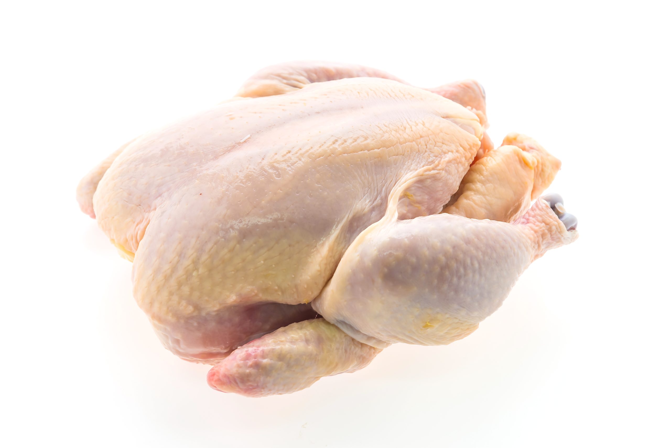 Daging Ayam PT. Sendang Rejeki Binangkit Slider